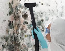 Professional Mold Prevention & Removal  in Timnath, CO